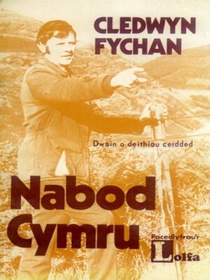 cover image of Nabod Cymru--Dwsin o Deithiau Cerdded